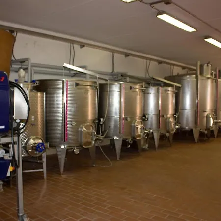 Borgo Di Gramugnana * Usigliano